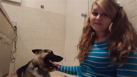 man fuck dog pussy|Man fucks dogs wet pussy in limitless homemade POV